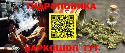 хмурый Гусь-Хрустальный