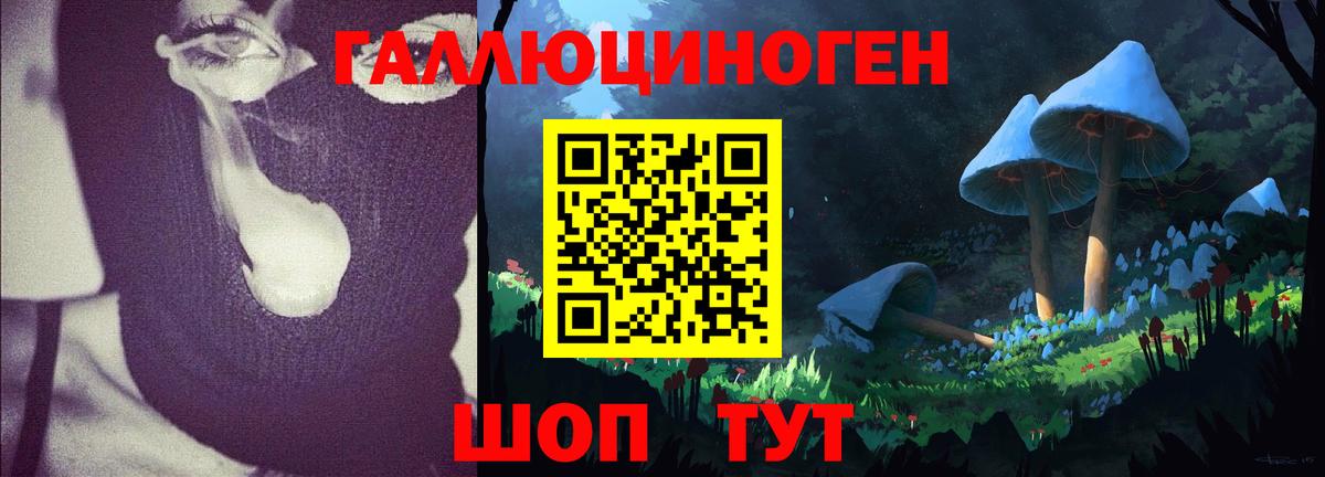 Псилоцибиновые грибы GOLDEN TEACHER Миасс